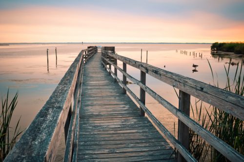 Outer Banks Forever 2021 Year in Review