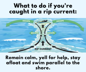 How to escape a rip current graphic