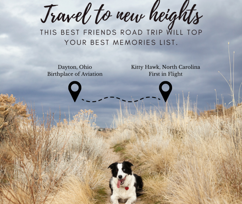 An image of a Border Collie dog lying on a sand dune with text above it that reads: "Travel to new heights: This best friends road trip will top your best memories list. Dayton, Ohio, Birthplace of Aviation; Kitty Hawk, North Carolina, First in Flight."