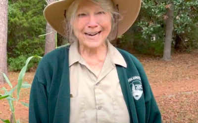 Meet Your Volunteer: Mona Currie