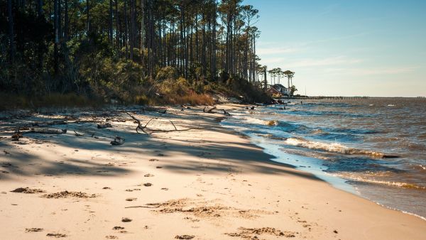 Etheridge Point beach on the soundside of Roanoke Island. The beach and sound can be seen with maritime forest in the background.