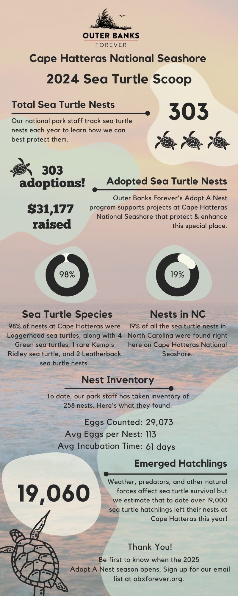 2024 Sea Turtle Stats A graphic that shows the results of Outer Banks Forever's 2022 Adopt A Sea Turtle Nest season.