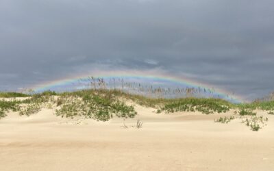 Outer Banks Forever continues to support our Outer Banks national parks 