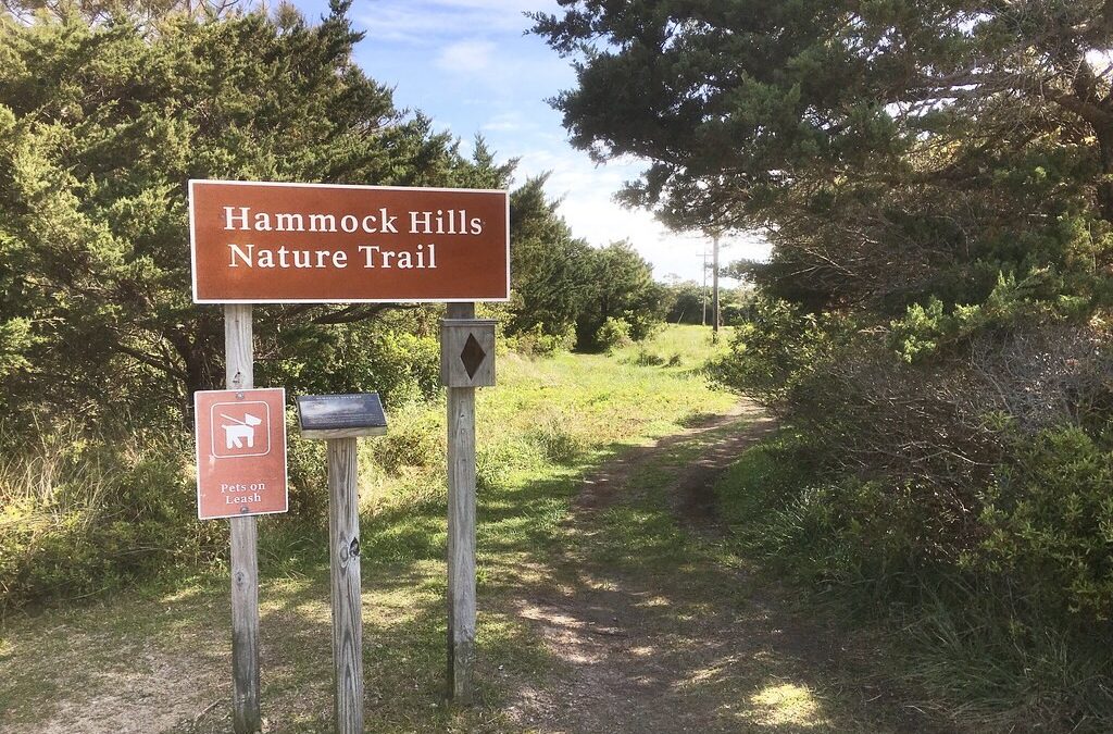 Hit the Trail(s)!