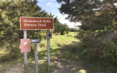 Hit the Trail(s)!